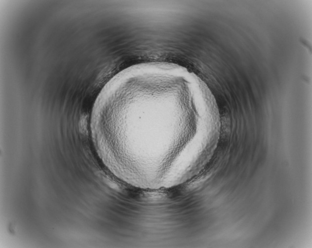 X0000096420286200802141642