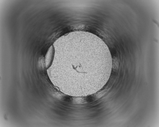 X0000096420287200802141642