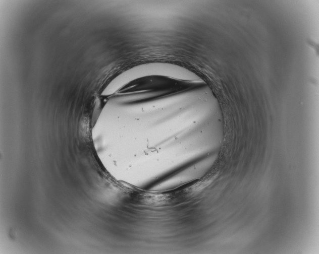 X0000096420288200802141642