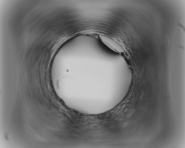 X0000096420289200802141641