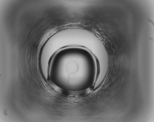 X0000096420293200802141641