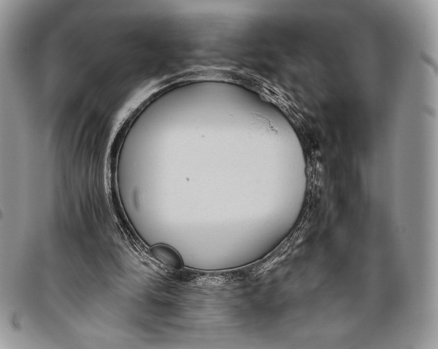 X0000096420294200802141641