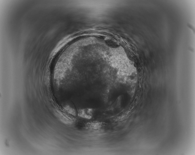 X0000096420295200802141640