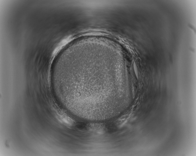 X0000096420296200802141640