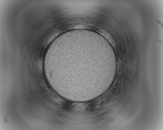 X0000096420297200802141640