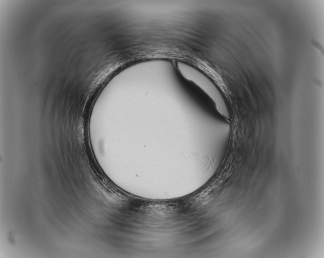 X0000096420298200802141640