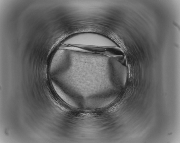 X0000096420300200802141640