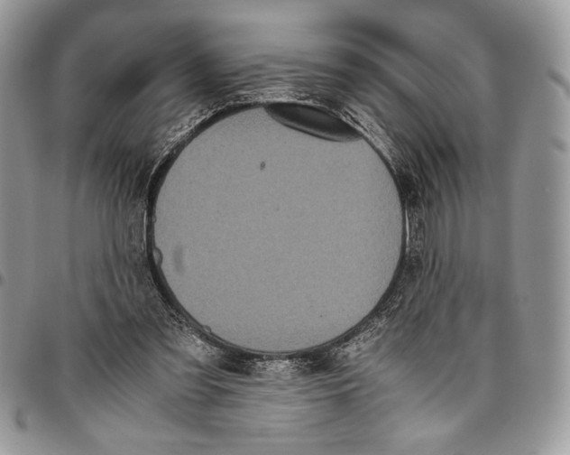 X0000096420301200802141640