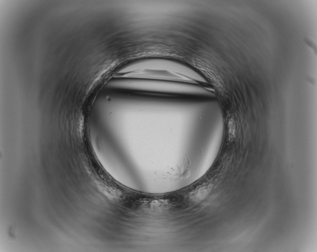 X0000096420304200802141640