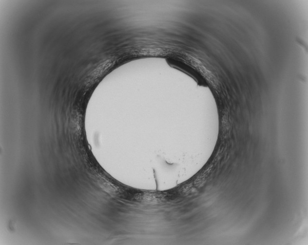 X0000096420305200802141640