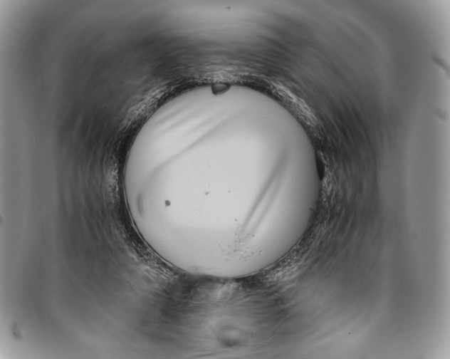 X0000096420306200802141640