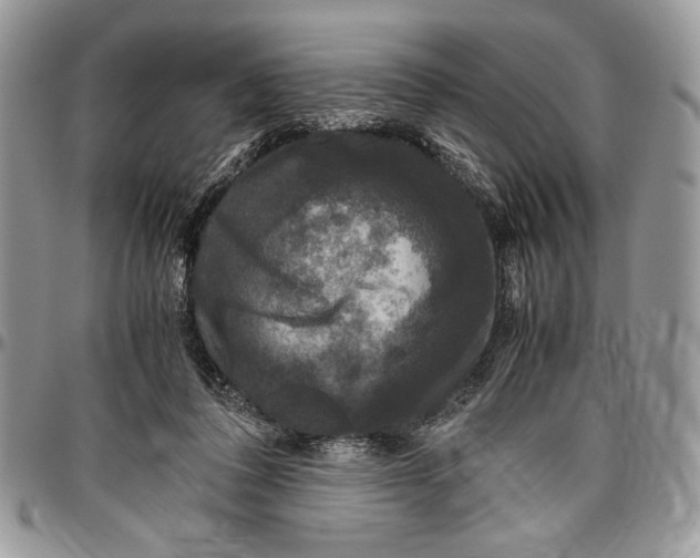 X0000096420308200802141640