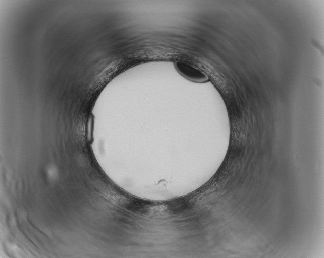 X0000096420309200802141640