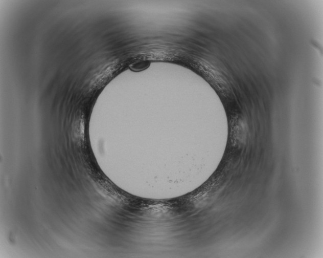 X0000096420310200802141640