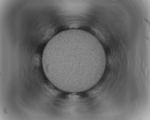 X0000096420311200802141640