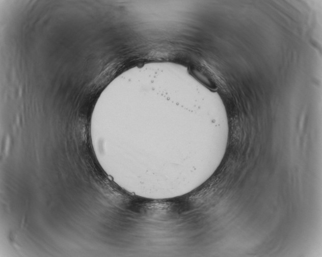 X0000096420313200802141640