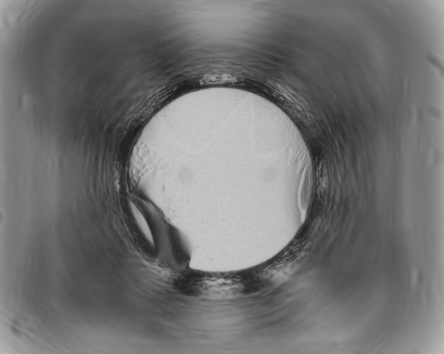 X0000096420315200802141640