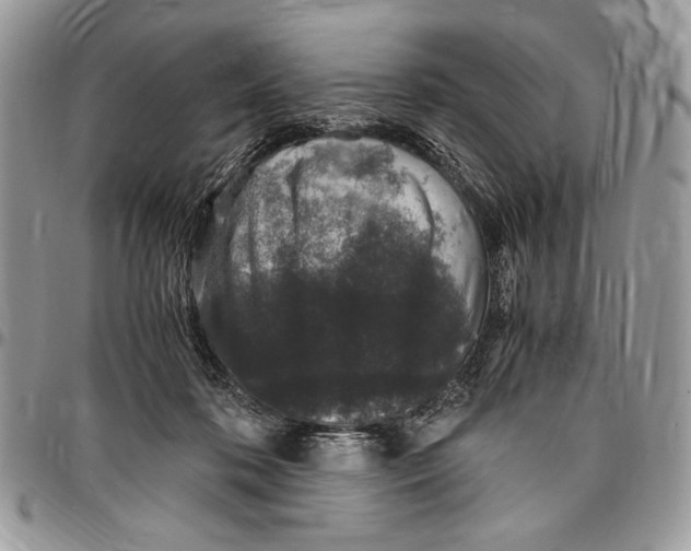 X0000096420316200802141640