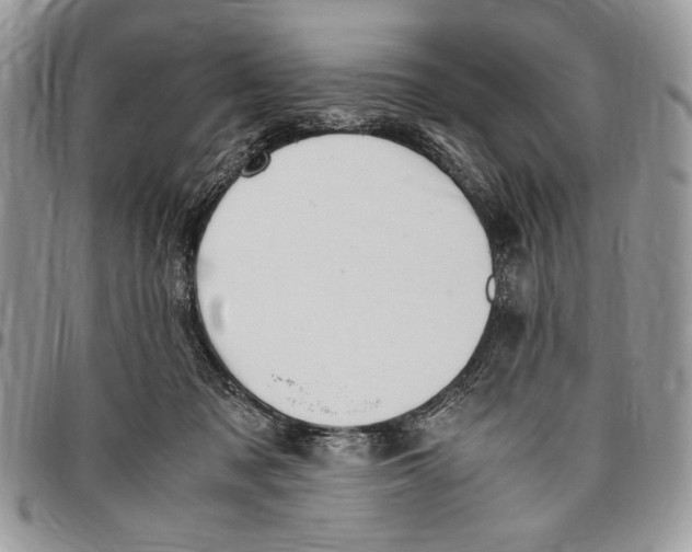 X0000096420317200802141640