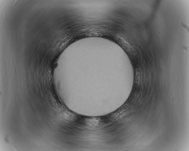 X0000096420318200802141640