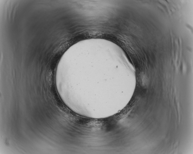 X0000096420319200802141640