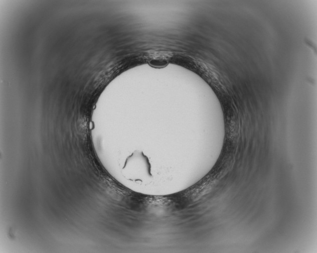 X0000096420321200802141640