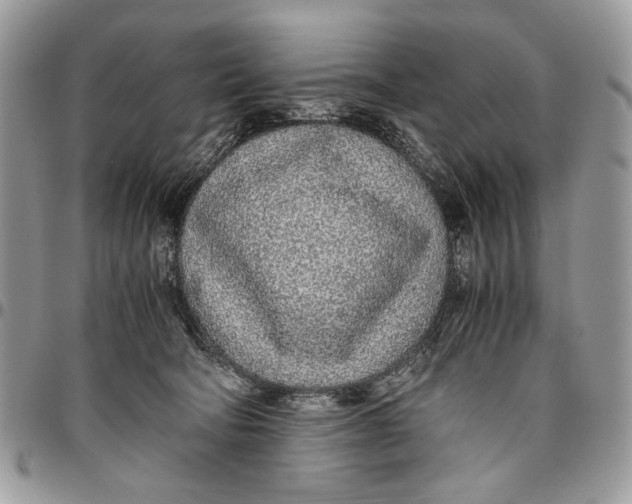 X0000096420322200802141640