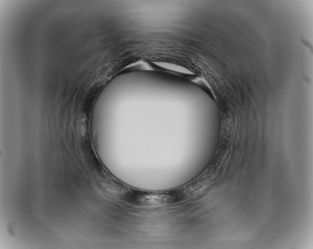 X0000096420323200802141640