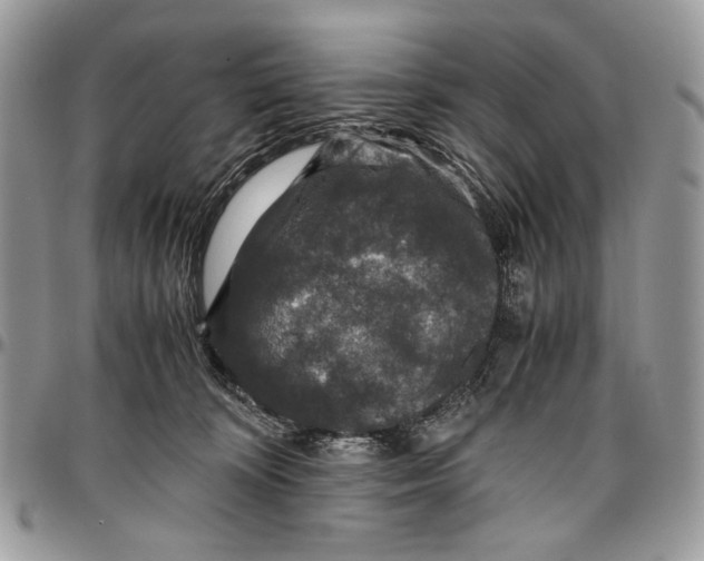 X0000096420324200802141640