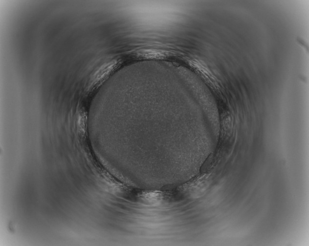 X0000096420325200802141640