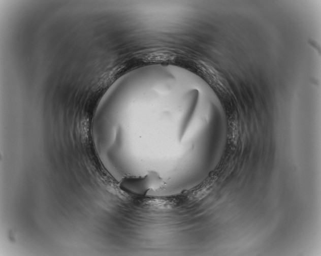 X0000096420326200802141640