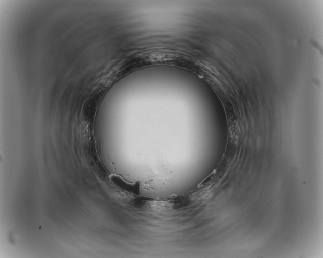 X0000096420327200802141640