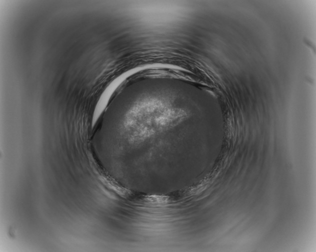 X0000096420328200802141640