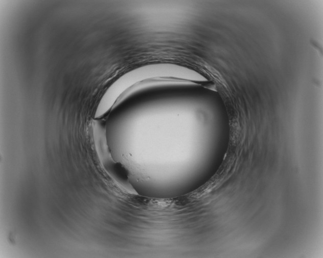 X0000096420329200802141640