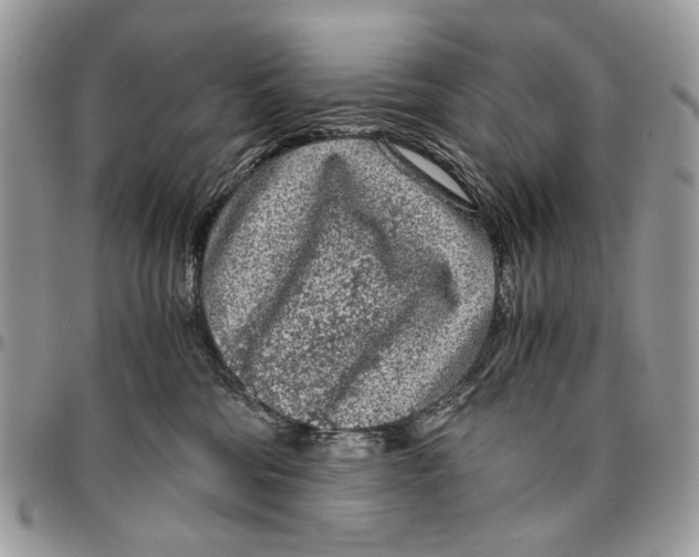 X0000096420330200802141640