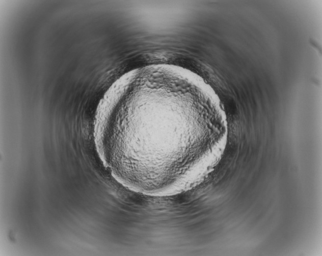 X0000096420331200802141640