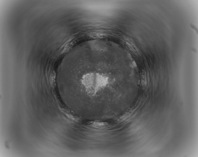 X0000096420332200802141640