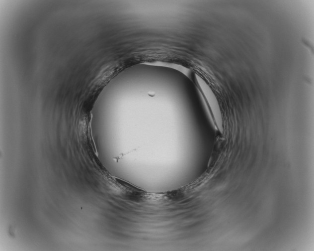 X0000096420333200802141640