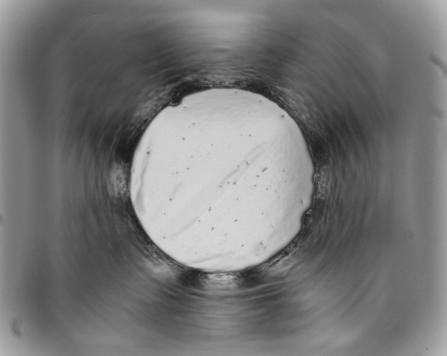 X0000096420335200802141640