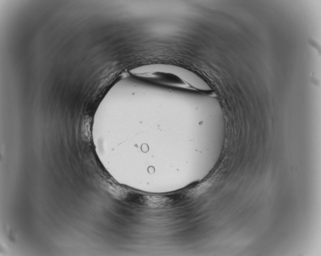 X0000096420336200802141640