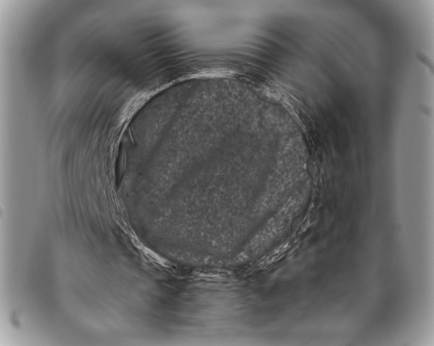 X0000096420337200802141639