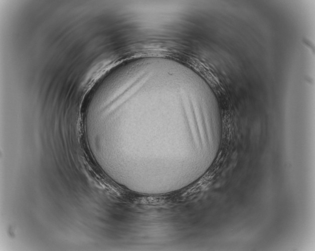 X0000096420338200802141639