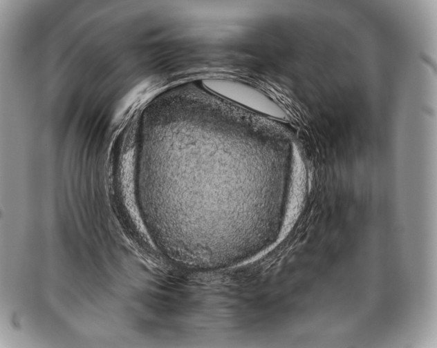 X0000096420339200802141639