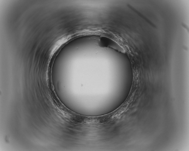 X0000096420340200802141639