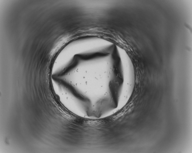 X0000096420341200802141639