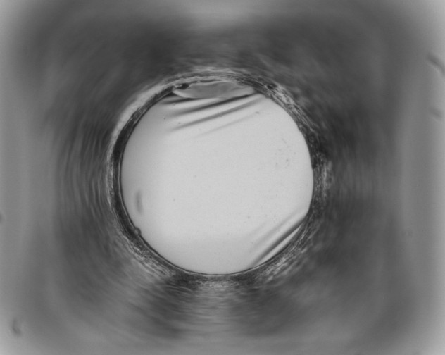 X0000096420342200802141639