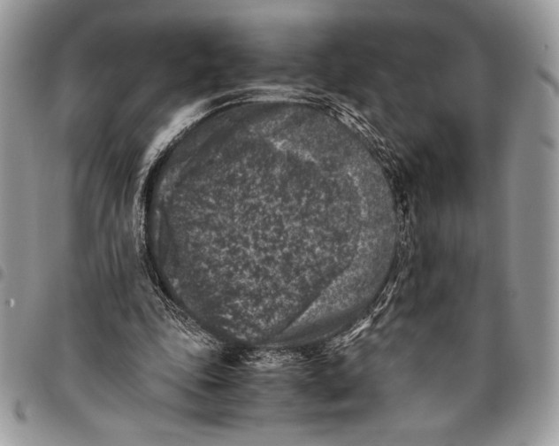 X0000096420343200802141639