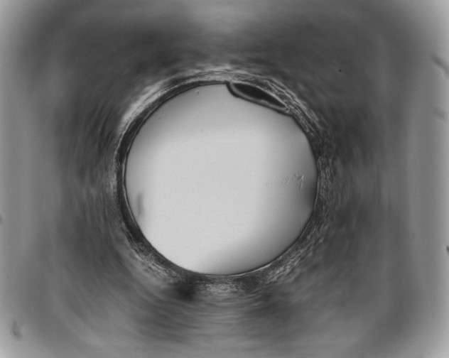 X0000096420344200802141639