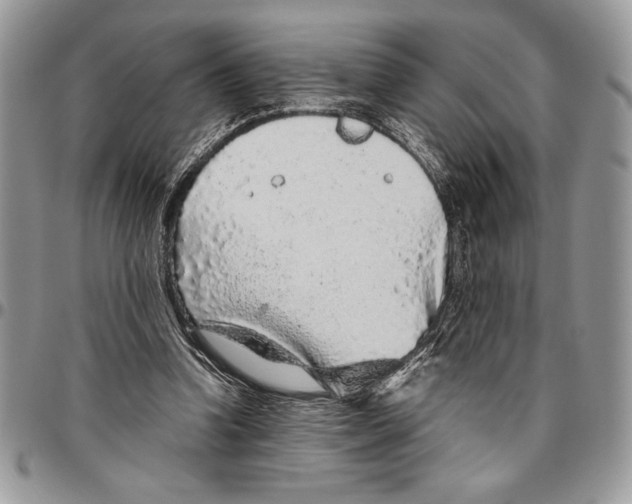 X0000096420346200802141639