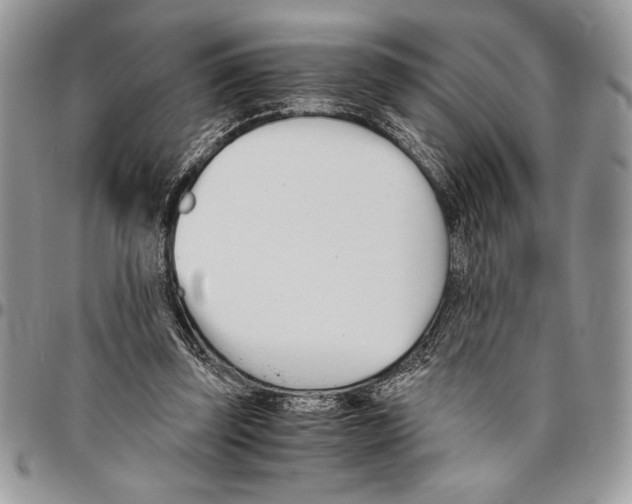 X0000096420347200802141639